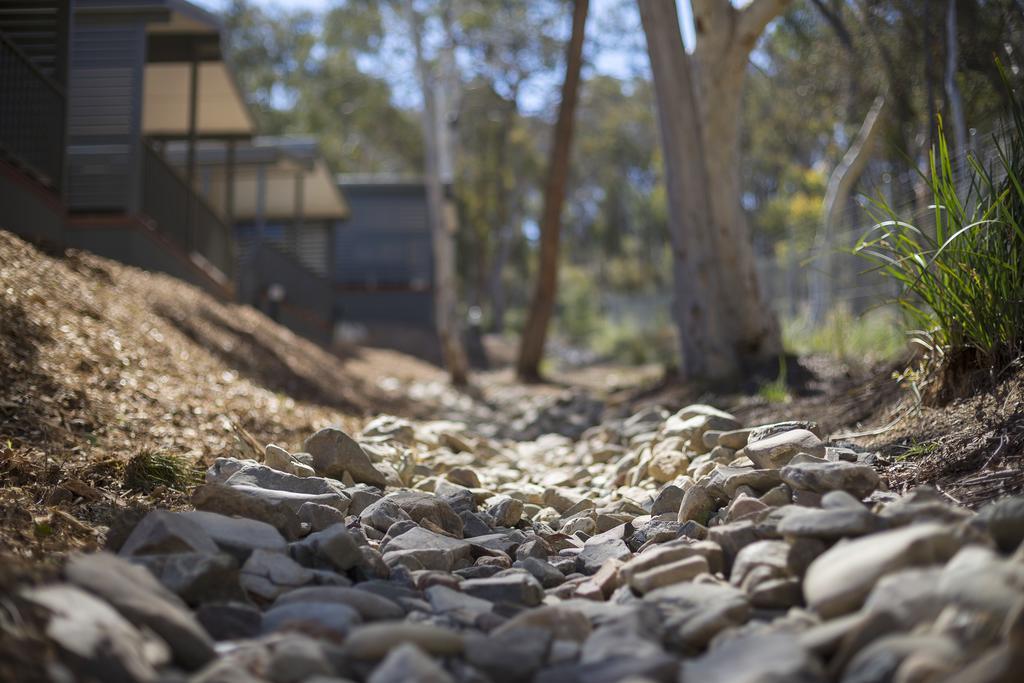 Alivio Tourist Park Canberra Buitenkant foto